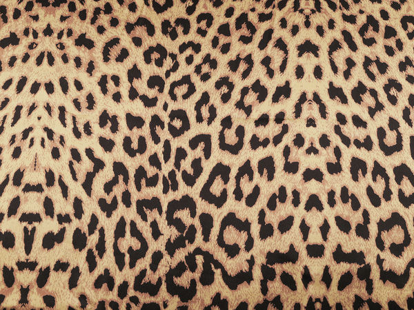 Premium Elastic Animal Print Satin Fabric - Stretch Dressmaking & Apparel Material