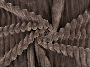 Premium Reinforced Striped Plush Upholstery Fabric – Ultra-Soft Material for Cushions, Bedspreads & Home Décor