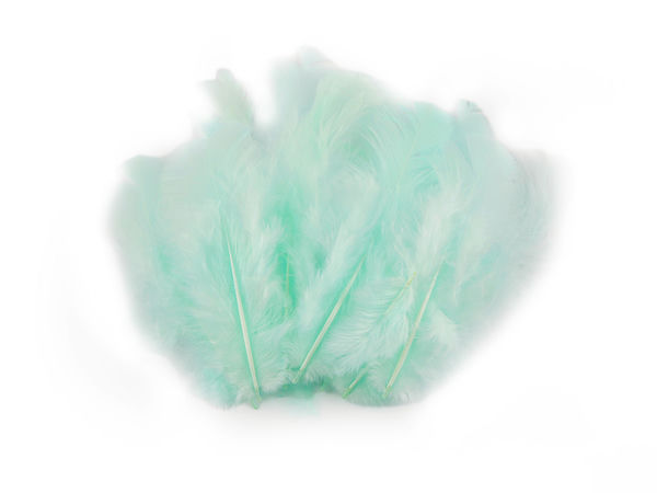 Premium Decorative Hen Feathers for Crafts and Jewelry - 8-9 cm (20-Pack)