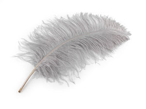 Premium Ostrich Feathers (50-55 cm) for Crafts, Costumes, and Floral Arrangements - Elegant Decorative Plumes