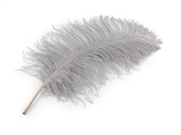 Premium Ostrich Feathers (50-55 cm) for Crafts, Costumes, and Floral Arrangements - Elegant Decorative Plumes
