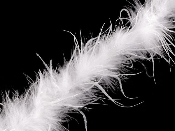 Premium Ostrich Feather Boa (21-24g, 1.8m) | Luxury Trimming and Fashion Accessory