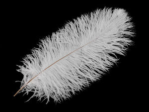 Premium Decorative Ostrich Feathers (40-45 cm) - Large Fluffy Plumes for Events, Costumes, and Crafts