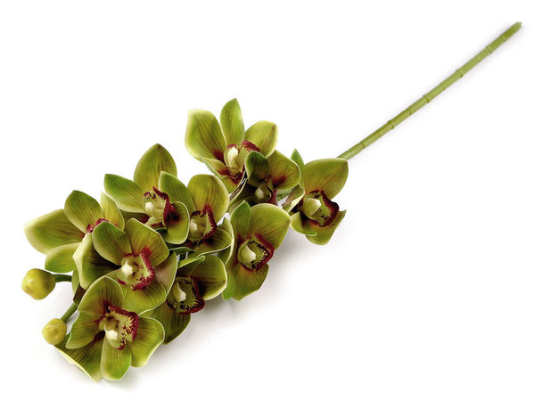 Premium Long-Stem Artificial Orchid - Real-Touch Faux Exotic Flower for Tall Vases & Floor Planters