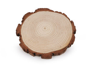 Natural Round Wood Slice with Bark (Ø14) - Unfinished Wooden Circle for DIY Crafts, Coasters, and Rustic Decor
