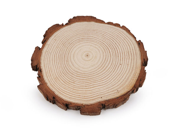 Natural Round Wood Slice with Bark (Ø14) - Unfinished Wooden Circle for DIY Crafts, Coasters, and Rustic Decor