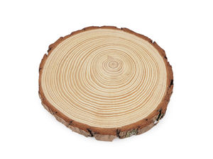 Unfinished Natural Wood Slice - 16cm Round Tree Branch Circle with Bark for DIY Crafts, Rustic Coasters, and Home Decor