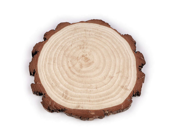 Premium Unfinished Natural Wood Slice - Ø21 Large Round Wooden Circle with Bark for DIY Crafts, Rustic Decor, and Centerpieces
