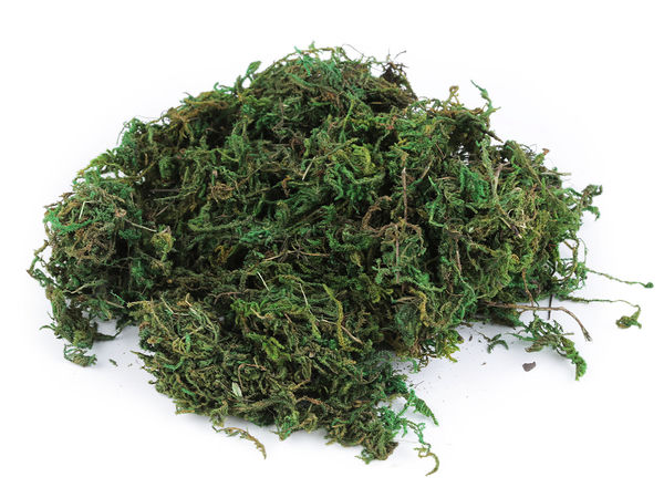 Premium Preserved Natural Moss (250g) – Decorative Stabilized Forest Moss for Crafts, Wreaths & Floral Arrangements