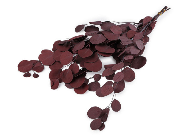 Premium Preserved Stabilized Eucalyptus Bundle for Floral Arrangements and Home Decor