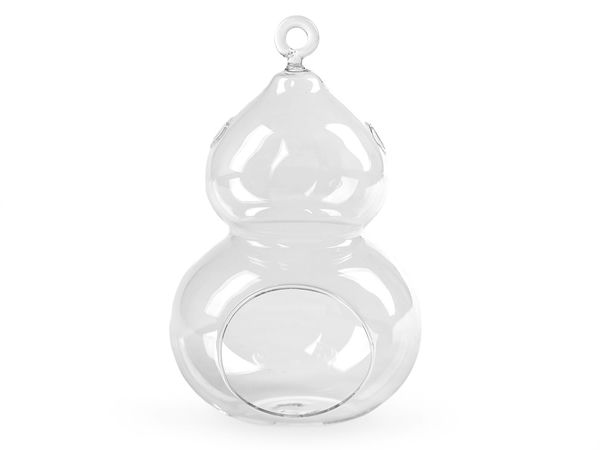 Glass Aerarium (10x16 cm) - Hanging & Tabletop Decorative Terrarium Globe for Succulents and Air Plants