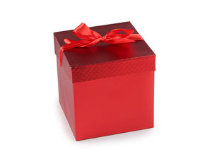 Premium Matte Metallic Gift Box with Taffeta Ribbon Bow - Elegant Reusable Present Packaging