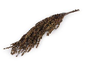 Premium Stabilized Olive Tree Branch Bundle - Naturally Preserved Decorative Foliage for Vases and Floral Arrangements