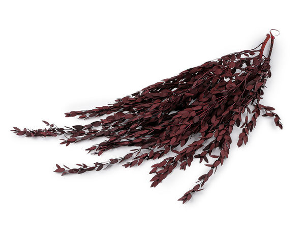 Premium Stabilized Olive Tree Branch Bundle - Naturally Preserved Decorative Foliage for Vases and Floral Arrangements