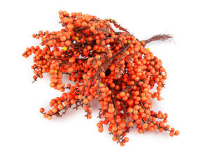Premium Artificial Sea Buckthorn Berry Twigs on Wire - 10-Piece Decorative Bundle for Autumn Wreaths, Floral Arrangements and Crafts