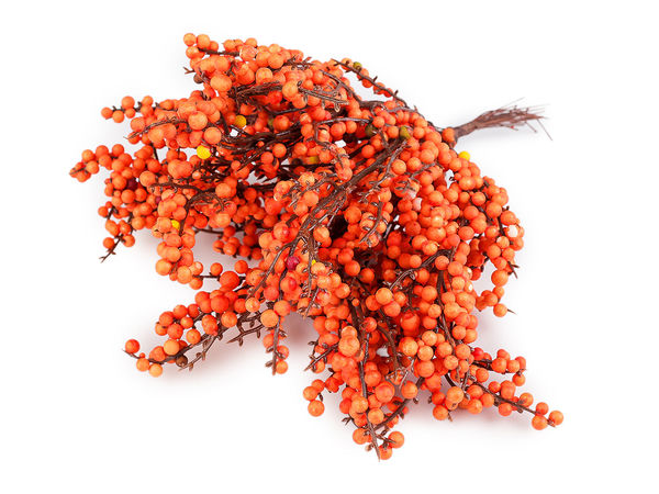 Premium Artificial Sea Buckthorn Berry Twigs on Wire - 10-Piece Decorative Bundle for Autumn Wreaths, Floral Arrangements and Crafts