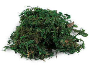 Premium Stabilized Decorative Moss (25g) for Crafts, Wreaths, and Floral Arrangements