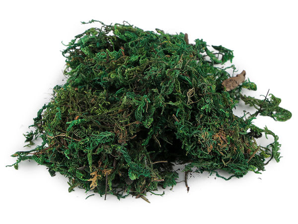 Premium Stabilized Decorative Moss (25g) for Crafts, Wreaths, and Floral Arrangements