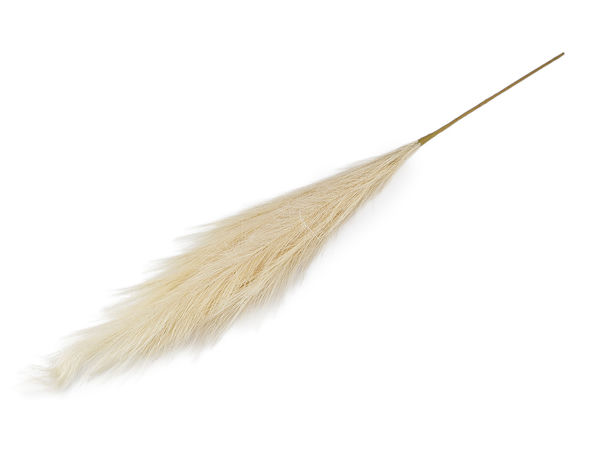 Premium Faux Pampas Grass Stems - Fluffy Artificial Floral Decor for Modern, Rustic, and Scandinavian Home Interiors