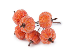 Premium Frosted Artificial Pumpkins on Flexible Wire - Orange Faux Autumn Pumpkins with Ice Effect for Wreaths, Centerpieces, and Floral Crafts