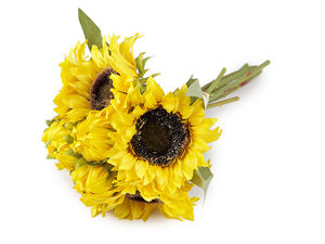Vibrant Artificial Sunflower Bouquet - 8 Stems for Vases, Autumn Floral Arrangements, and DIY Wreaths