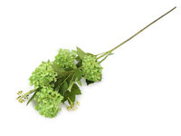 Elegant White Artificial Viburnum Bouquet - Lifelike Faux Floral Stem for Home Decor, Wedding Arrangements, and DIY Crafts