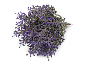 Premium Artificial Berry Stems – Decorative Floral Picks for Flower Pots, Arrangements, and DIY Crafts