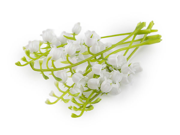 Elegant White Artificial Mini Lily of the Valley Stems for Floral Arrangements, Wreaths, and Bridal Hair Accessories