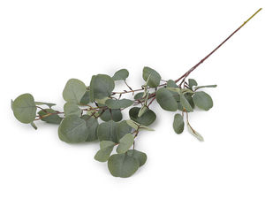 Premium Lifelike Artificial Eucalyptus Stem - Realistic Green Faux Foliage for Home Decor, Vases, and Floral Arrangements