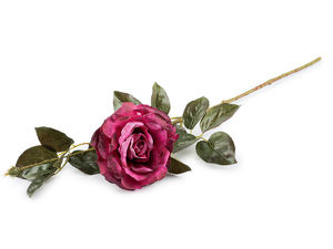 Premium Artificial Rose Stem with Bendable Wired Stem for Floral Arrangements, Home Decor, and DIY Crafts