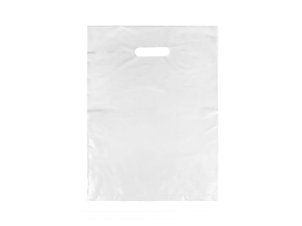 Premium PVC Retail Packaging and Gift Bags (20x30 cm)