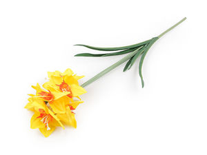 Lifelike Artificial Daffodil Flower Stem with 7 Blossoms - Premium Faux Spring Floral for Vase Arrangements, Crafts, and Home Decor