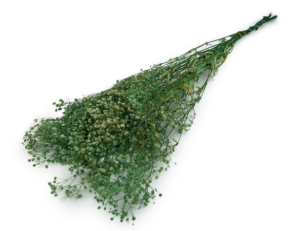 Premium Preserved Baby's Breath Bunch - Real Stabilized Gypsophila Flowers for Floral Arrangements, Home Decor, and Crafts