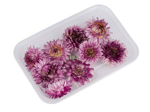 Premium Dried and Stabilized Hyacinth Flower Stems for Floral Arrangements and Crafts