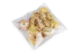 Premium Dried and Stabilized Hyacinth Flower Stems for Floral Arrangements and Crafts