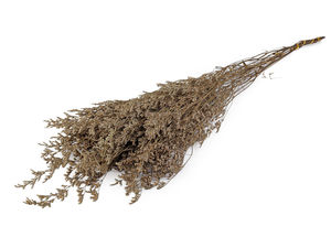 Premium Preserved Statice (Limonium) Bunch - Everlasting Natural Decorative Flowers for Crafts & Floral Design