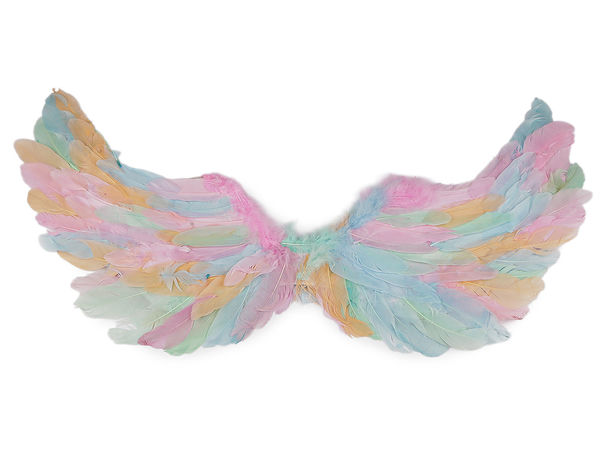Premium Double-Sided Angel Feather Wings - Multicolor Costume Wings for Theatrical Performances, Cosplay, and Party Decorations