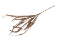 Artificial Pampas Grass Bouquet - Fluffy Faux Floral Stems for Home Decor, Weddings & Craft Arrangements