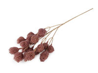 Artificial Thistle Flower Stem - Realistic Faux Floral Spray for Home Decor, Bouquets & Craft Arrangements