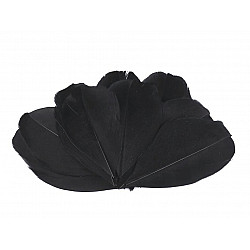 Pene decorative de gâscă, lungime 5-7 cm (pachet 10 buc.) - negru