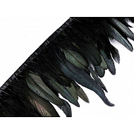 Feather Trimming - Rooster Feathers width 15 - 19 cm - black, 1 ml.