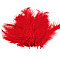 Ostrich Feathers length 9-18 cm, red