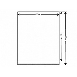 Clear Plastic Self-Adhesive Seal Bags 20x20 cm (package 100 pc.)