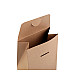 Paper Bag Natural with See-through Window (package 10 pc.)