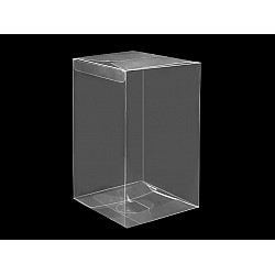 Plastic Box (package 5 pc.) - Transparent