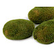 Moss Covered Styrofoam Decorative Rocks, green - brown