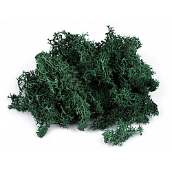 Stabilized / Steamed Moss 20 g in a Box, dark green