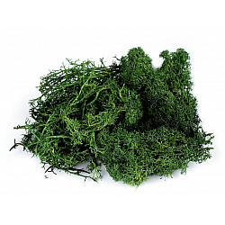 Prepared / stabilized moss 20 g in a box, green