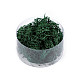 Stabilized / Steamed Moss 20 g in a Box, dark green