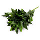 Artificial Hanging Plants - Ivy, green, 5 pc.